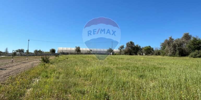 20250422110528-944901-21