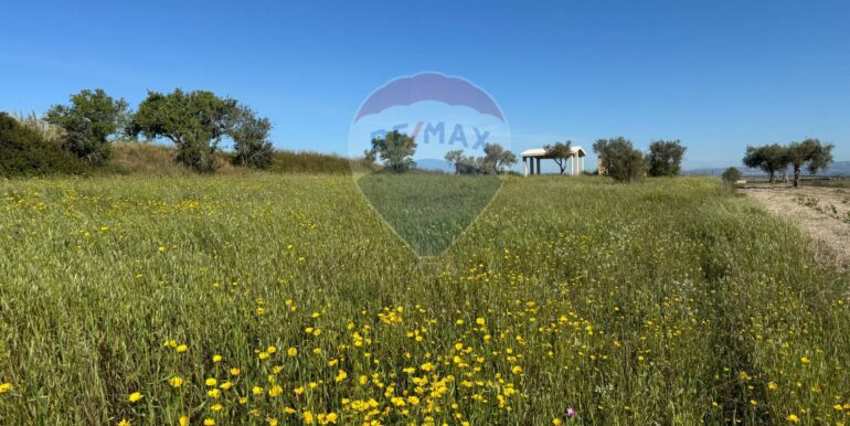 20250422110529-944901-23