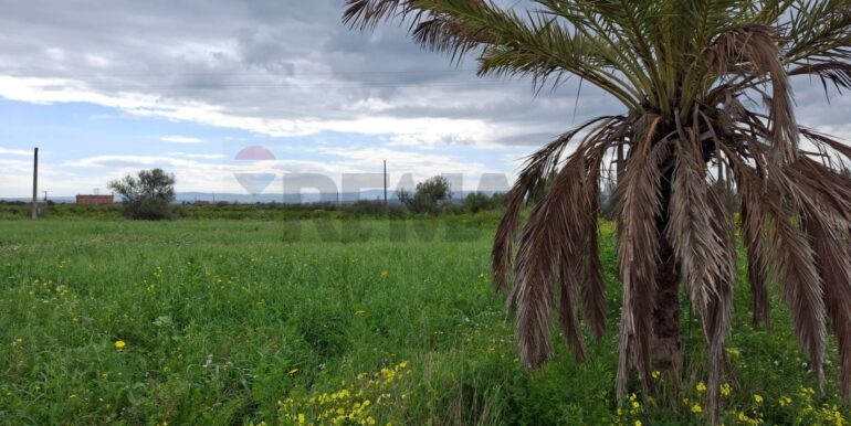 20250422144401-944964-9