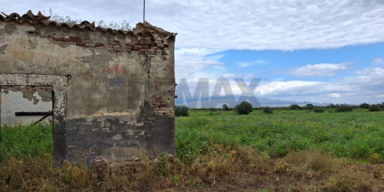 20250422144406-944964-11