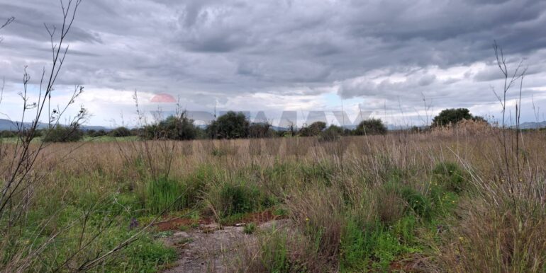 20250422144415-944964-14