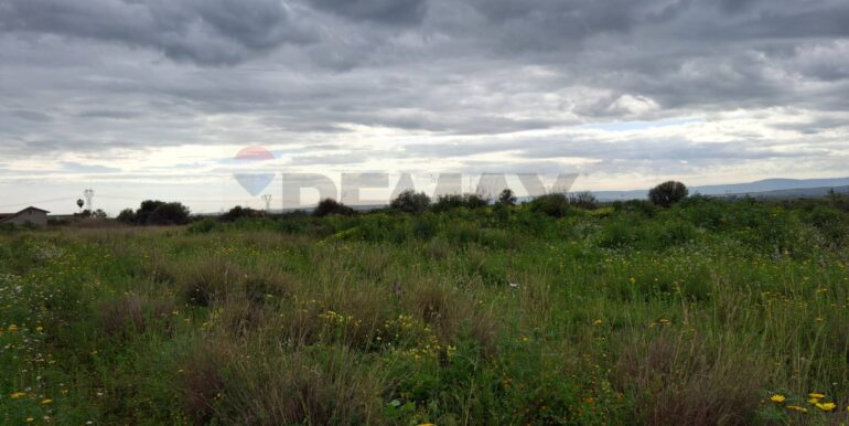 20250422144418-944964-15