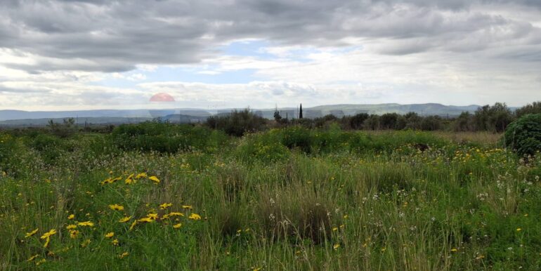 20250422144428-944964-17