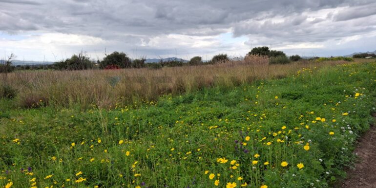 20250422144446-944964-21