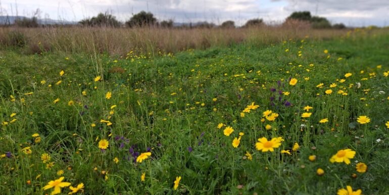 20250422144450-944964-22