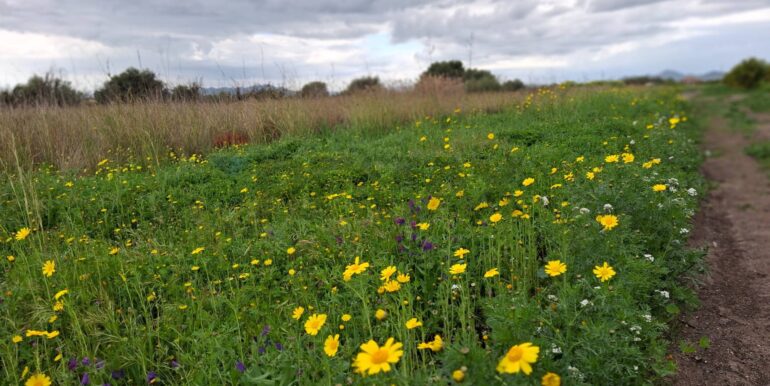 20250422144453-944964-23