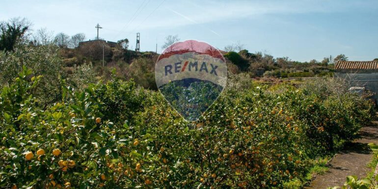 20250430175510-946205-2