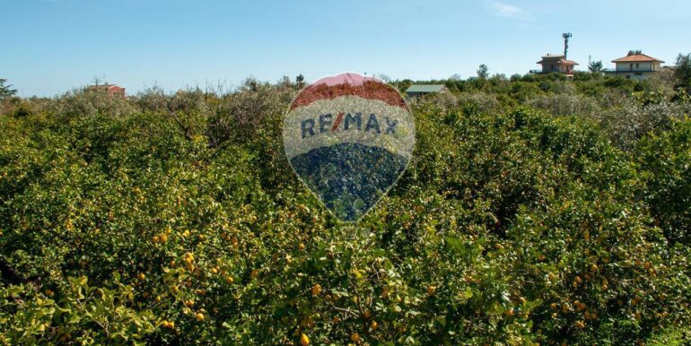 20250430175511-946205-3