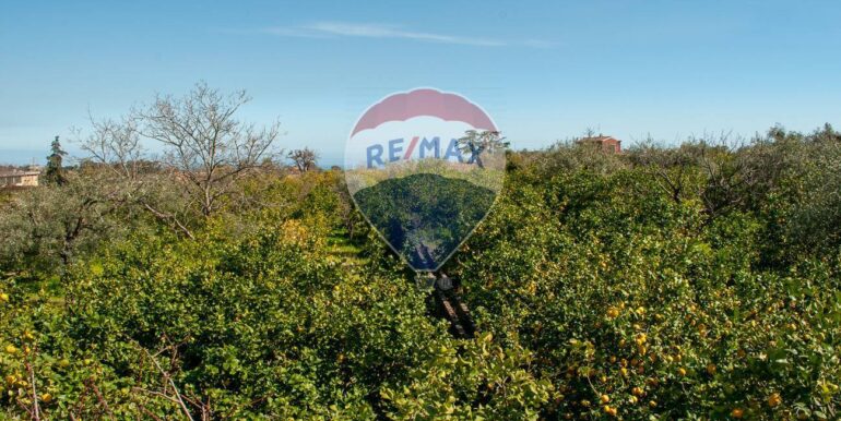 20250430175512-946205-4