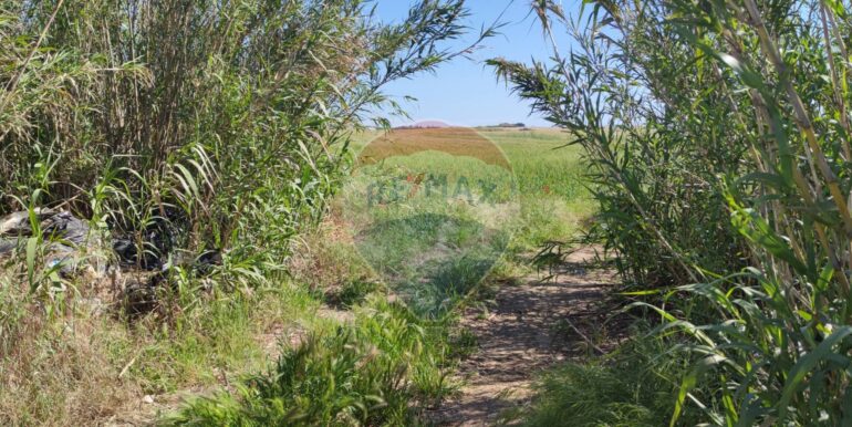 20250430190451-946238-0