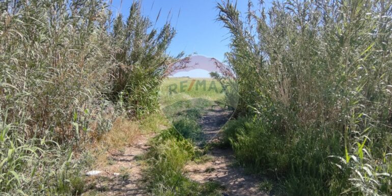 20250430190451-946238-1