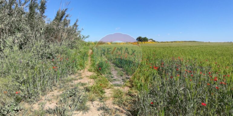 20250430190451-946238-2