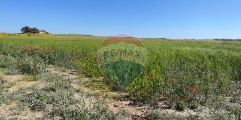 20250430190451-946238-3