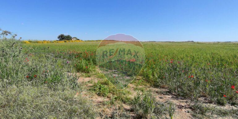 20250430190451-946238-4