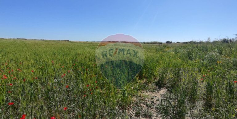 20250430190452-946238-5