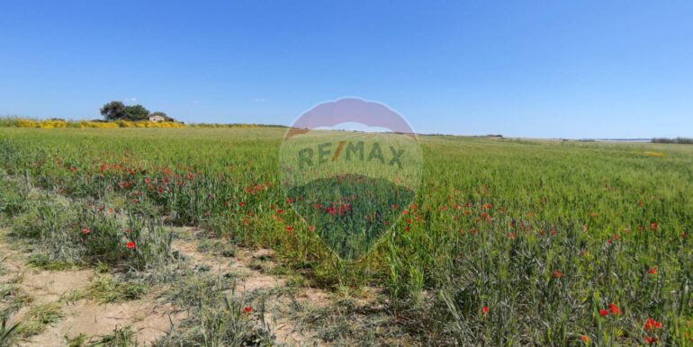 20250430190452-946238-6