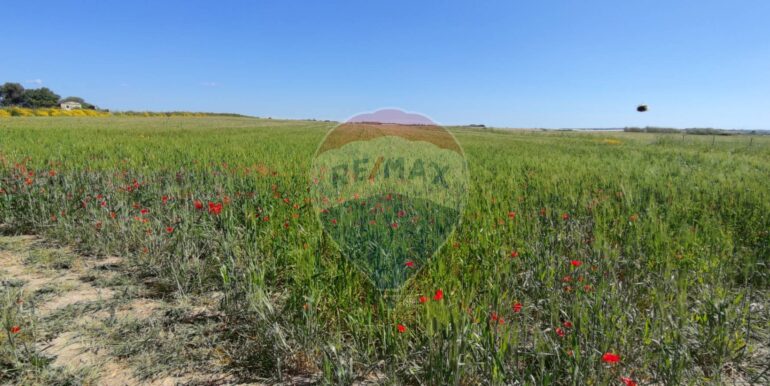 20250430190452-946238-7