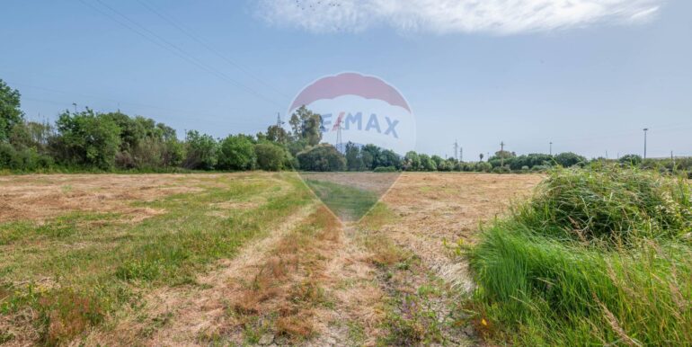 20250506190656-944862-8