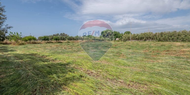 20250506192412-944868-6