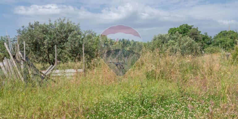 20250506192428-944868-12