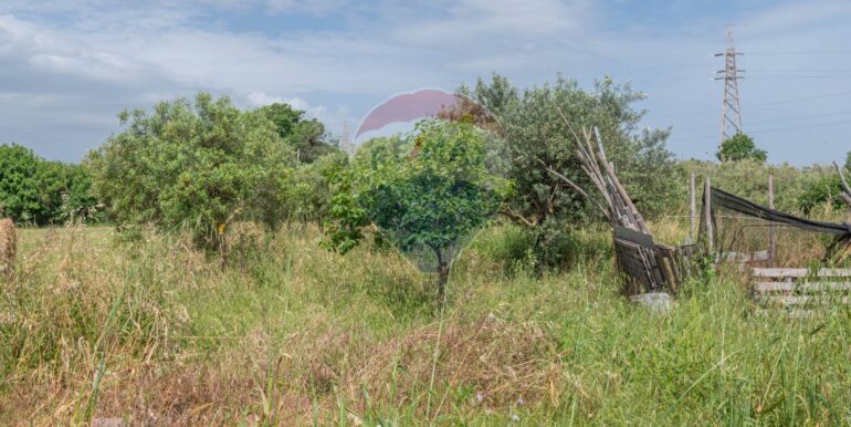 20250506192431-944868-13