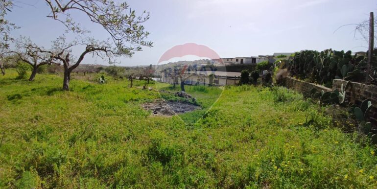 20250507161728-946998-1