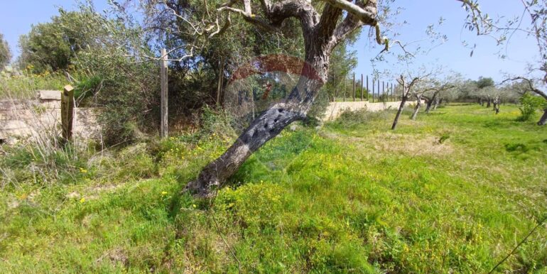 20250507161730-946998-2