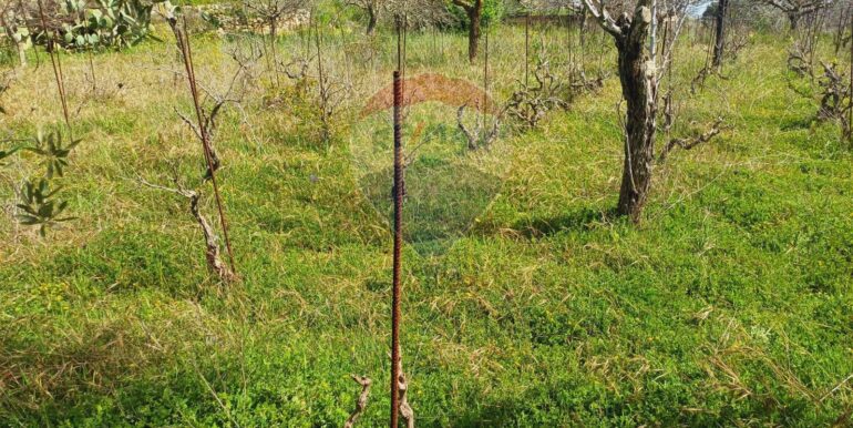 20250507161734-946998-5