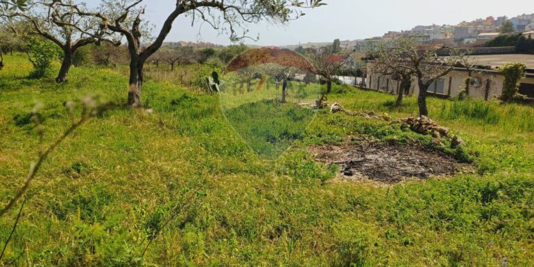 20250507161736-946998-6