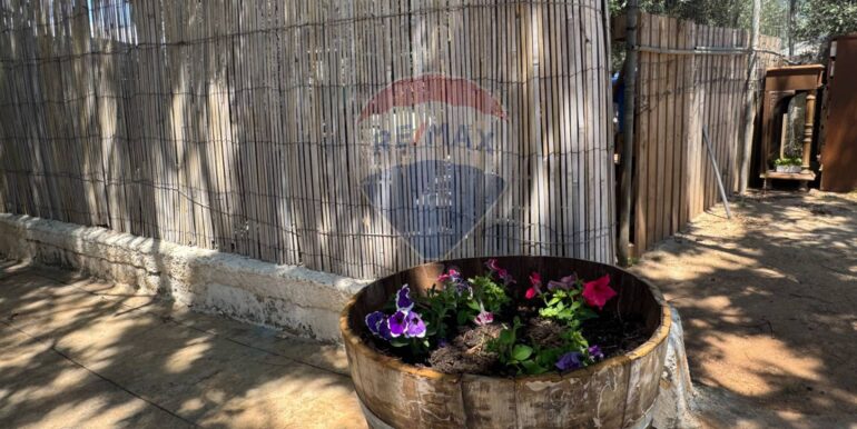 20250513100407-948226-2