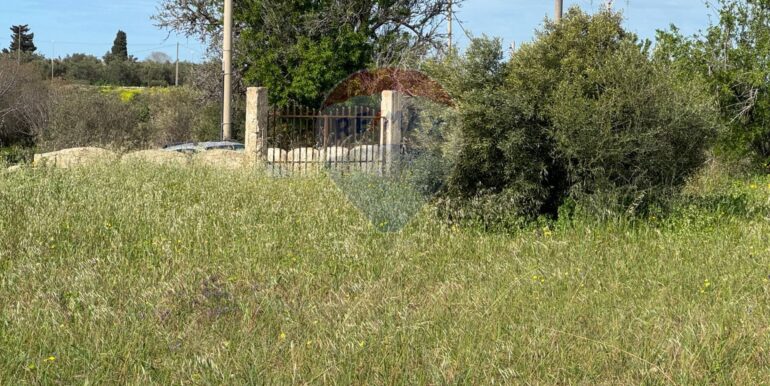 2025051592451-948739-1