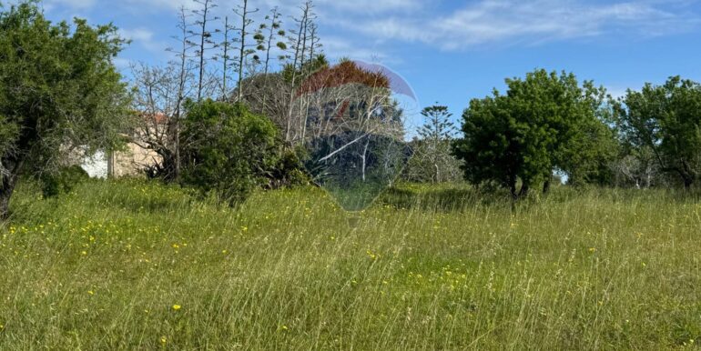 2025051592456-948739-3