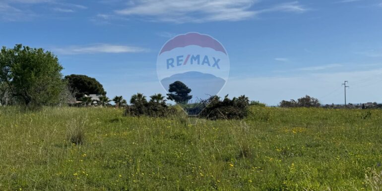 2025051592458-948739-4