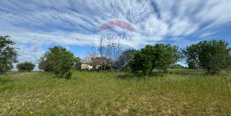 2025051592501-948739-6