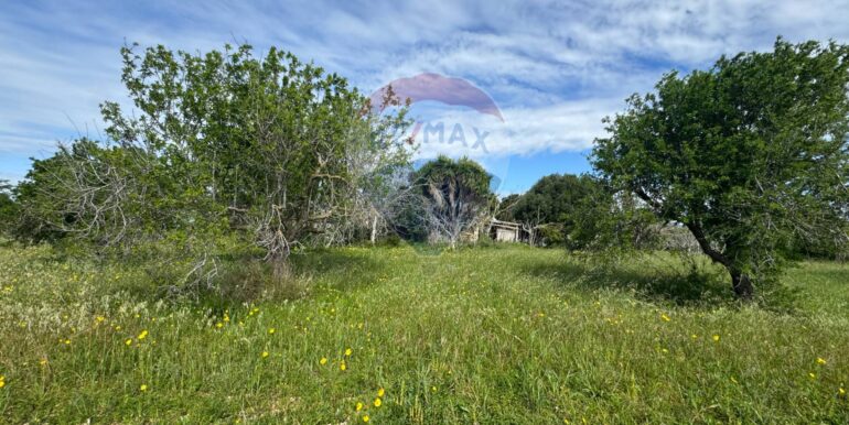 2025051592504-948739-7