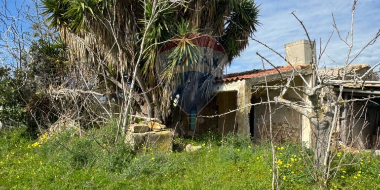 2025051592511-948739-10