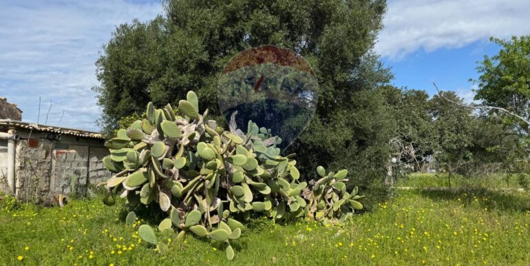 2025051592513-948739-11