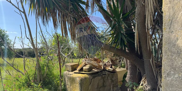 2025051592518-948739-13