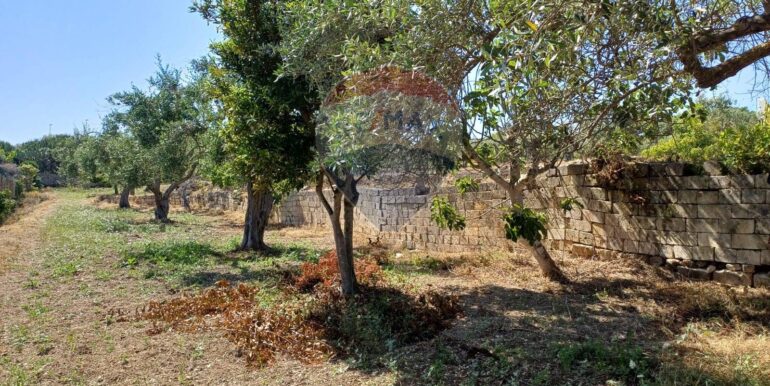 20250519162757-946998-11