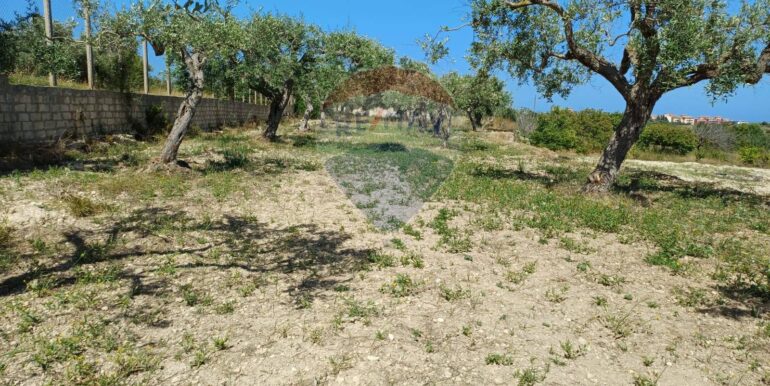 20250519162800-946998-12