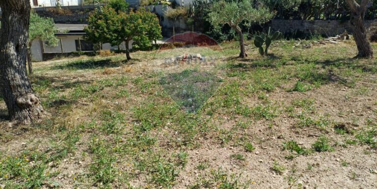 20250519162804-946998-14