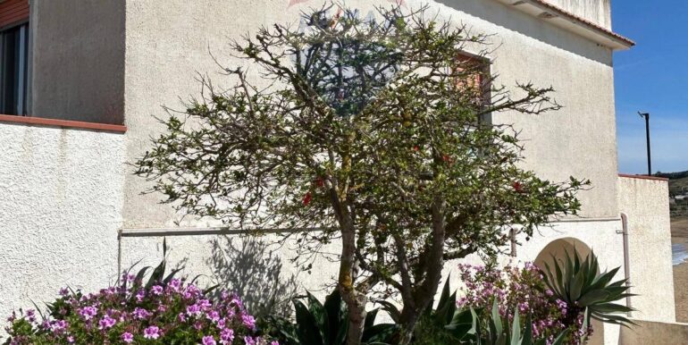 20250521174938-950806-6