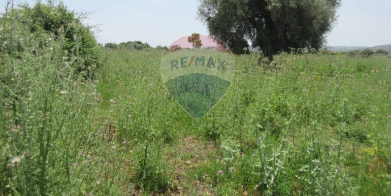 20250522174718-951064-1