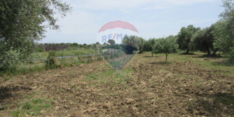 20250522174729-951064-6