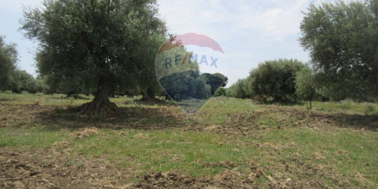 20250522174731-951064-7