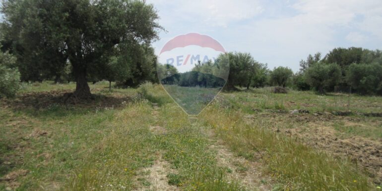 20250522174733-951064-8