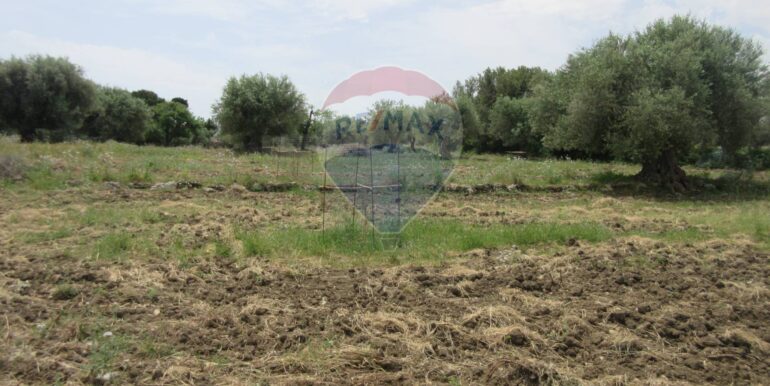 20250522174739-951064-11