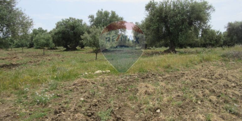 20250522174741-951064-12