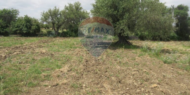 20250522174743-951064-13