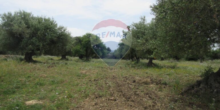 20250522174745-951064-14